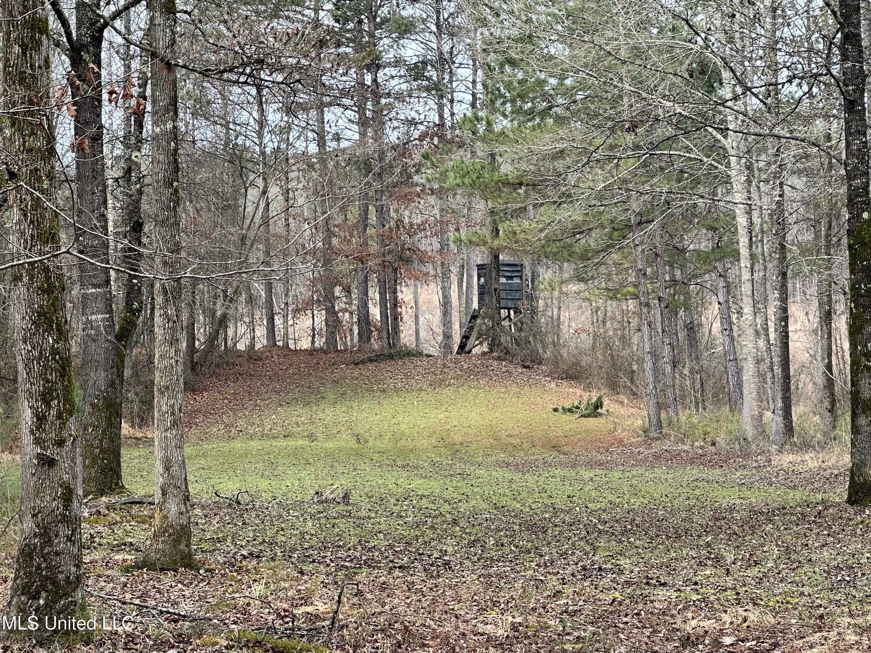 Bagasha Road Vaiden, MS 39176 - Photo 55 of 61 IMG_5124