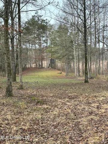 $1,156,000 | Bagasha Road, Vaiden, MS 39176