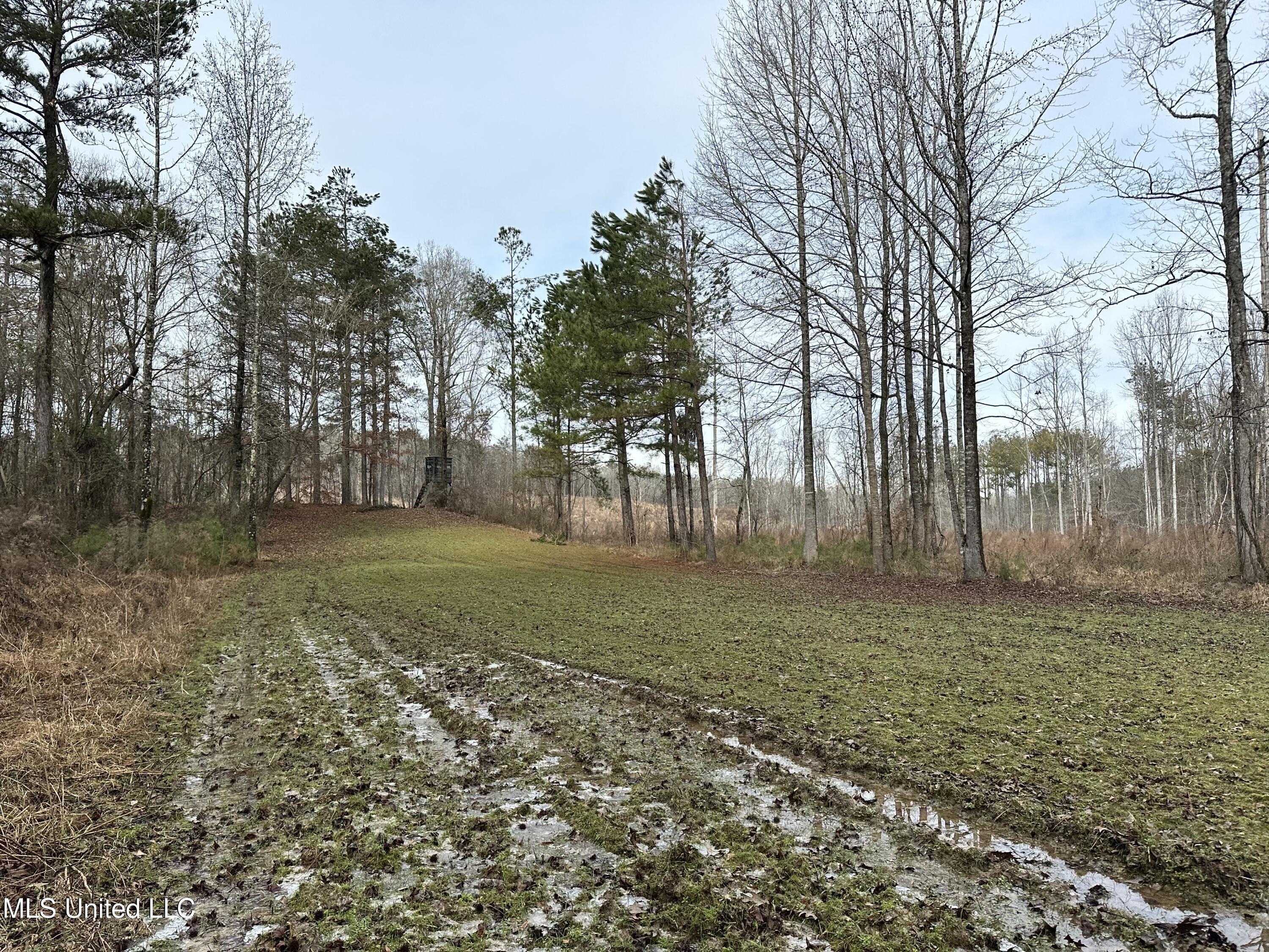 Bagasha Road Vaiden, MS 39176 - Photo 57 of 61 IMG_5126
