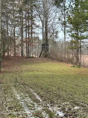 $1,156,000 | Bagasha Road, Vaiden, MS 39176