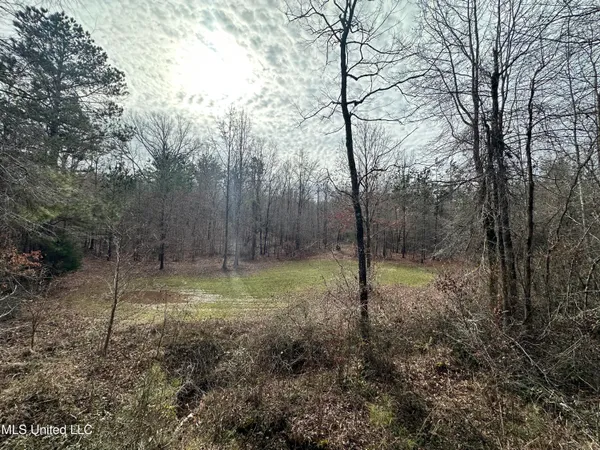 $1,156,000 | Bagasha Road, Vaiden, MS 39176