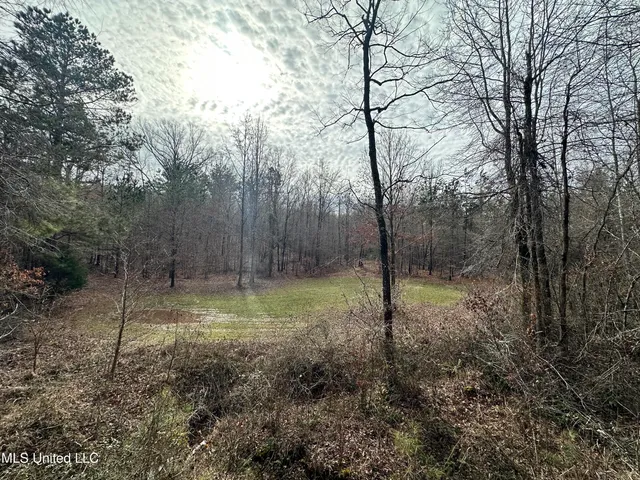 $1,156,000 | Bagasha Road, Vaiden, MS 39176