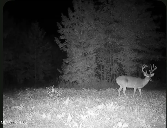 $1,156,000 | Bagasha Road, Vaiden, MS 39176