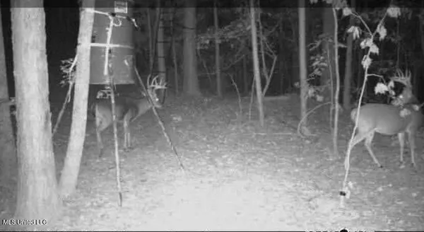 $1,156,000 | Bagasha Road, Vaiden, MS 39176