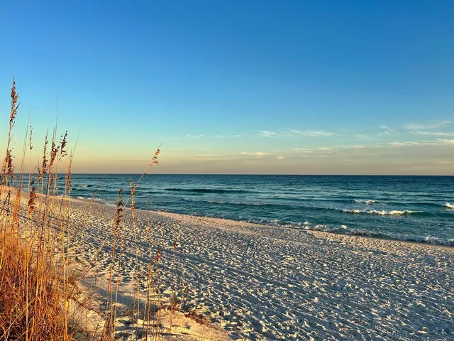 a view of an ocean beach
