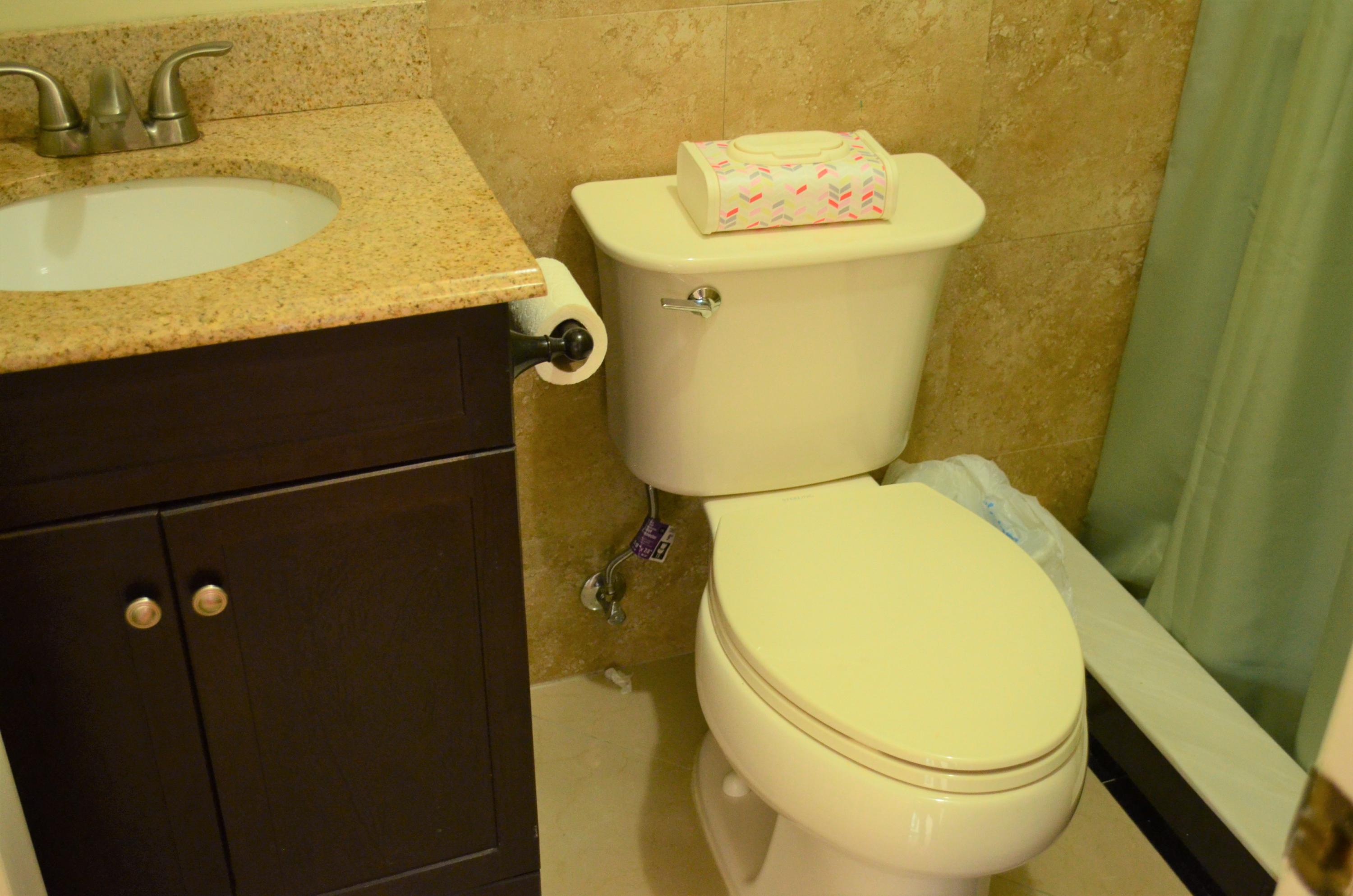 7429 San Clemente Place Boca Raton, FL 33433 - Photo 39 of 64 7429 3. full batroom (3)