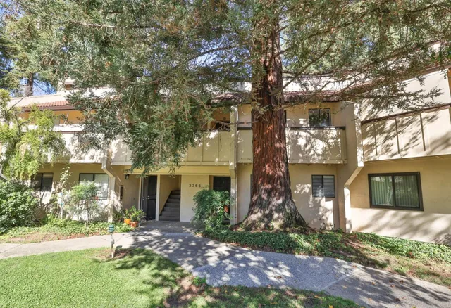 a view of a house with a tree in front of it