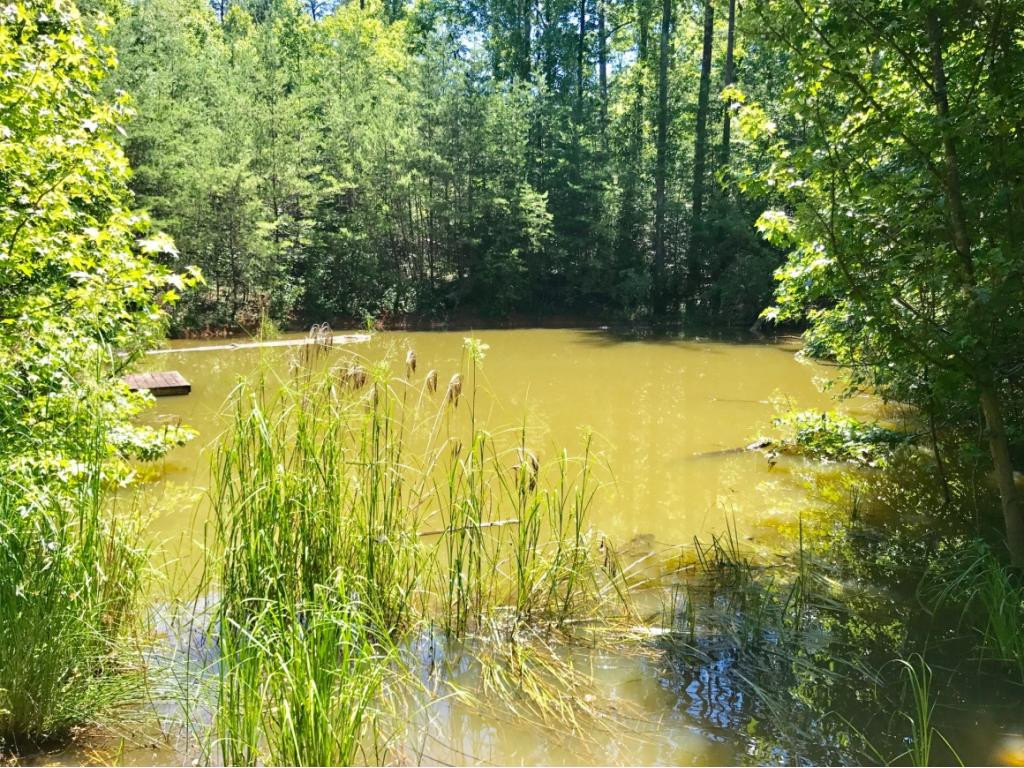 211 Rock House Road Jonesborough, TN 37659 - Photo 10 of 35 Photo 10
