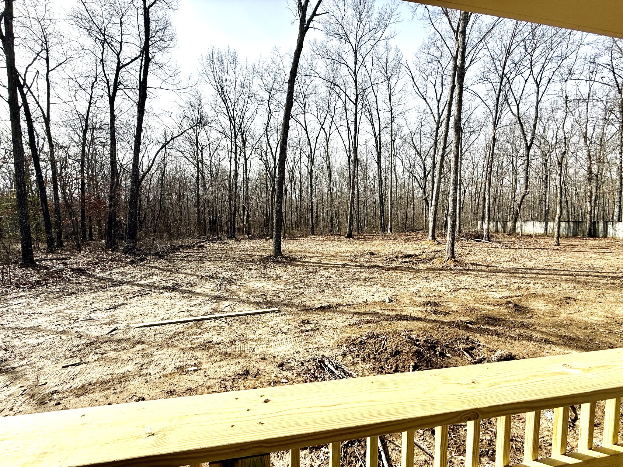 262 Winterberry Circle Manchester, TN 37355 - Photo 4 of 21