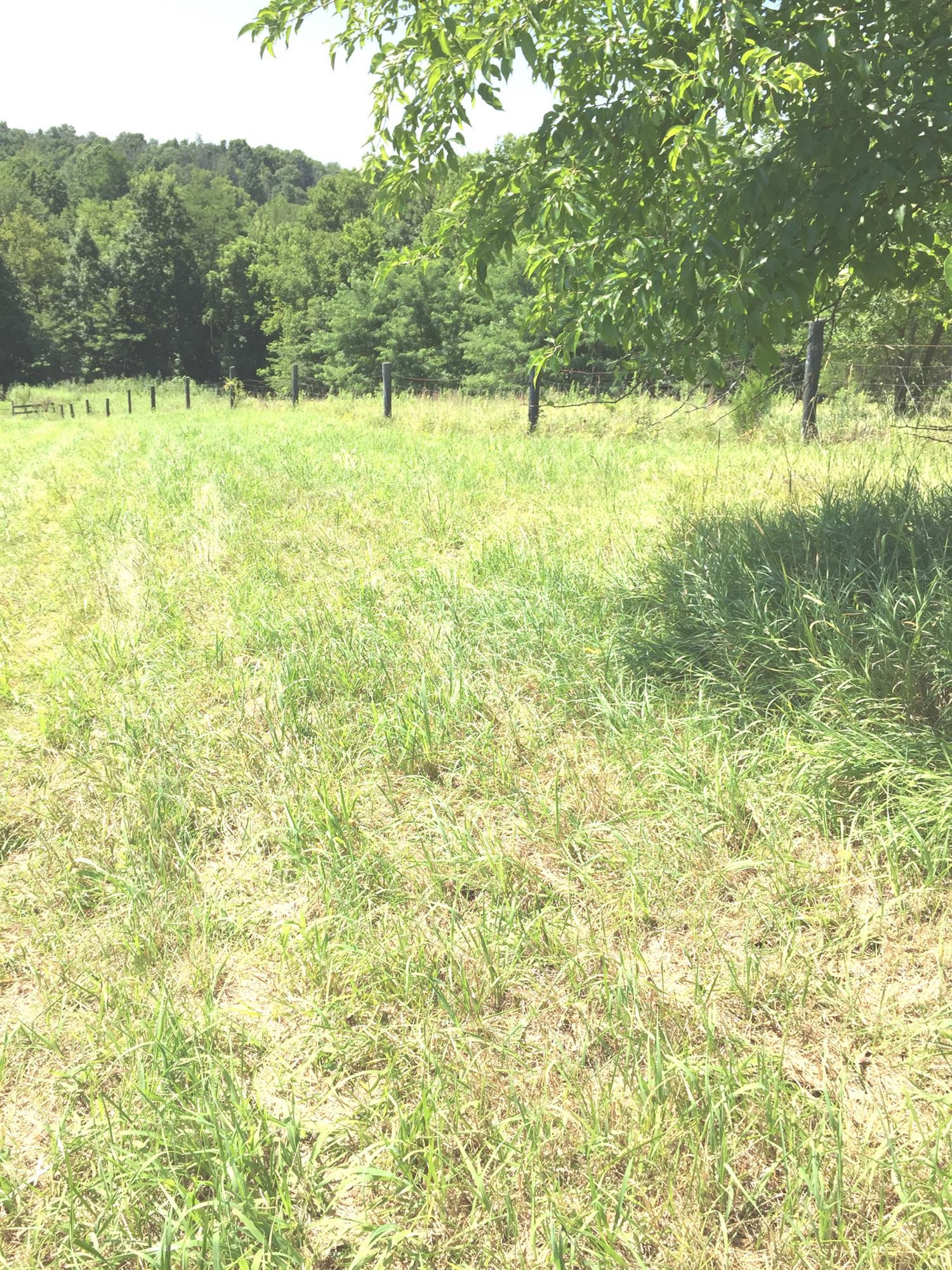 506 Double Culvert Road Georgetown, KY 40324 - Photo 27 of 44 Photo 27