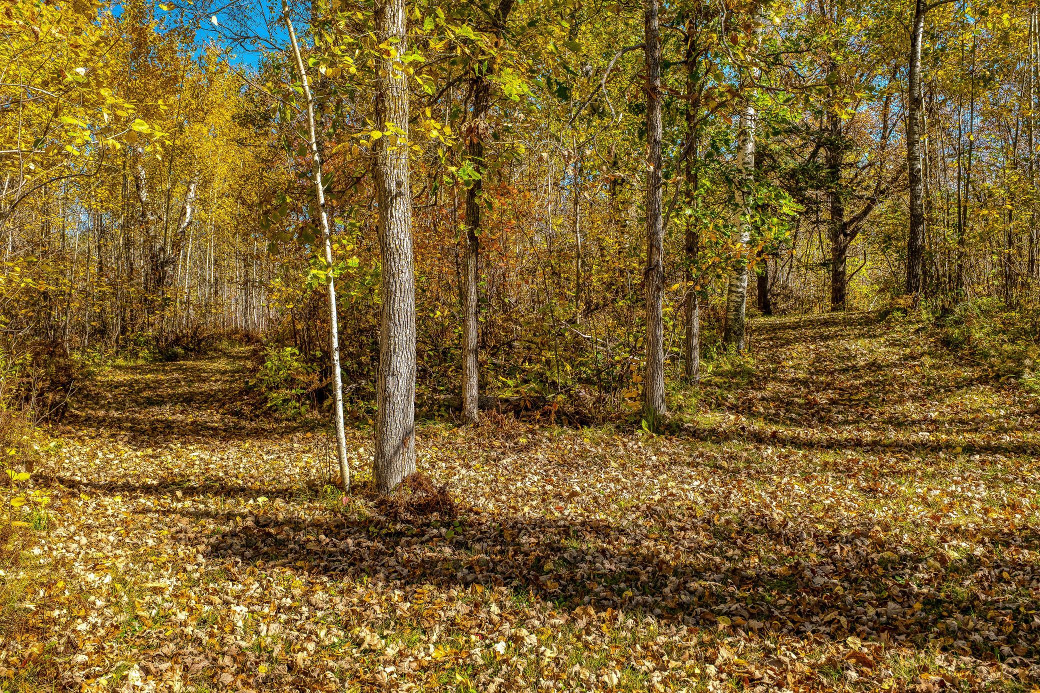 9330 Country Club Road Northeast Bemidji, MN 56601 - Photo 68 of 92 Gallery Image 68