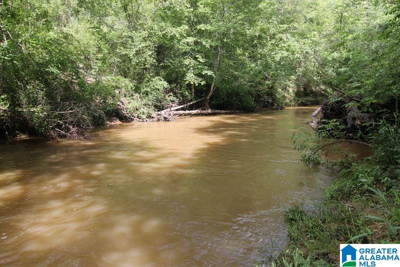 534 County Road, Unit 35± ACRES Woodland, AL 36280 - Photo 1 of 12