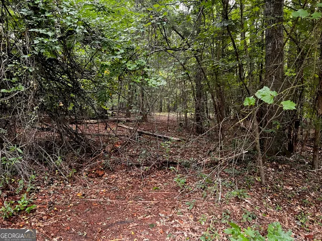 $428,500 | 410 Irvin Road, Thomaston, GA 30286