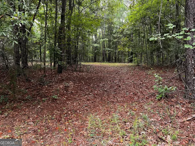 $428,500 | 410 Irvin Road, Thomaston, GA 30286