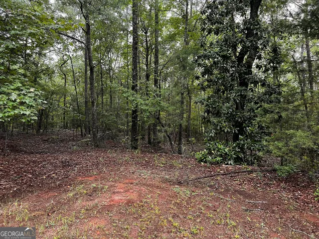 $428,500 | 410 Irvin Road, Thomaston, GA 30286