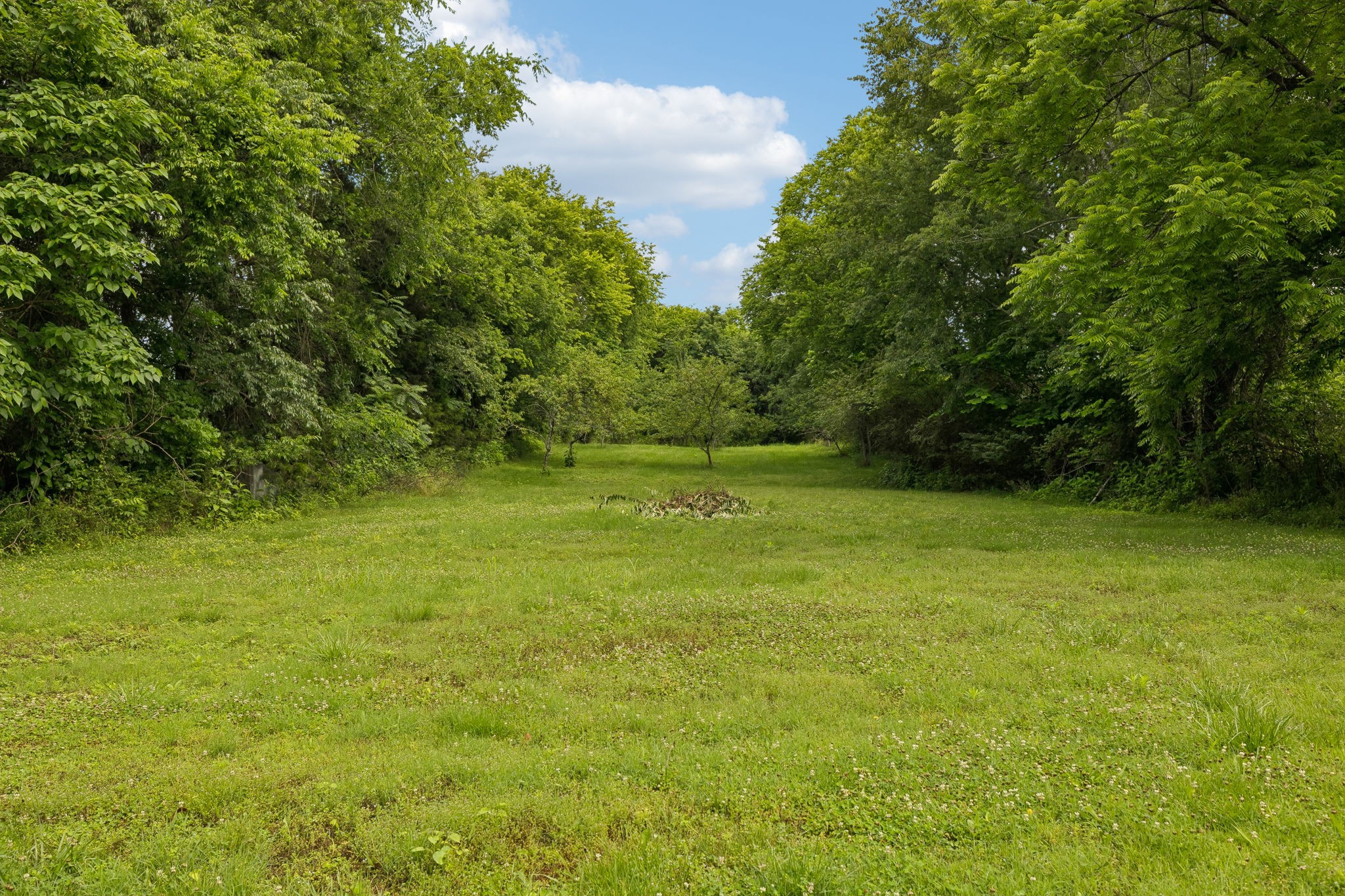 15 Sloan Branch Road Pleasant Shade, TN 37145 - Photo 45 of 46