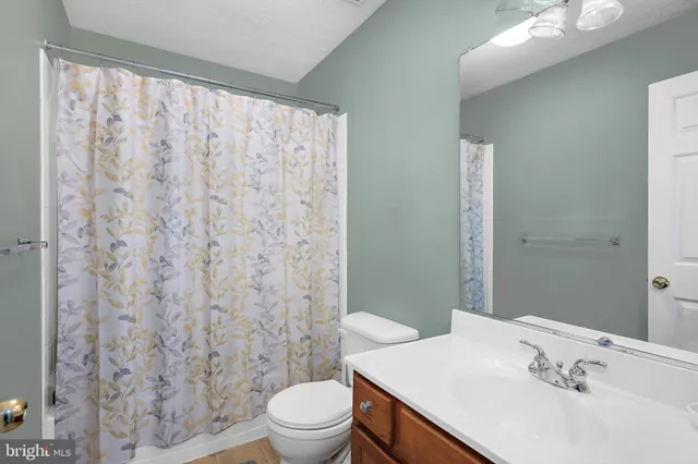 a bathroom with a sink a toilet and shower curtain