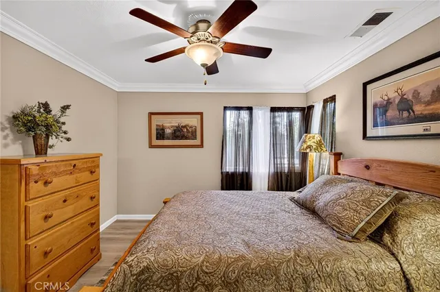 a front view of a house with trees and plants