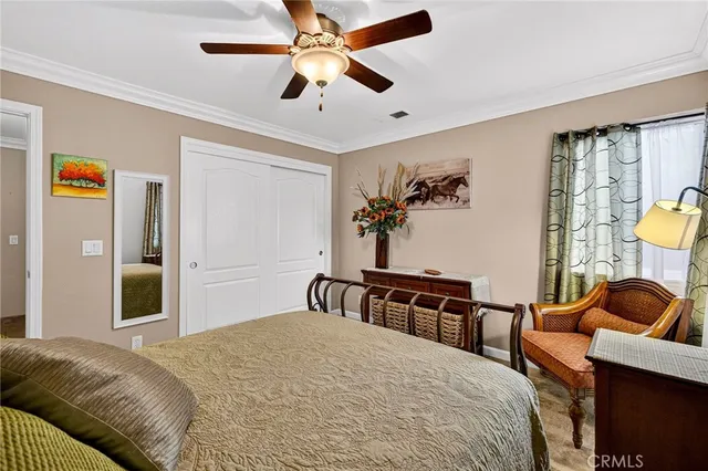 a view of backyard with green space and trees