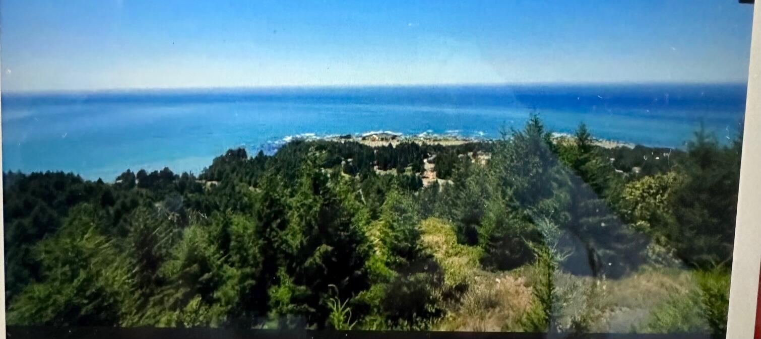 142 Parsons Road Shelter Cove, CA 95589 - Photo 1 of 13 View from the house