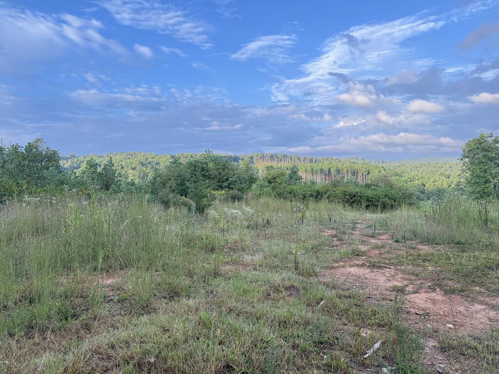 Tbd Marian Road Dugspur, VA 24325 - Photo 29 of 32 Gallery Image 29
