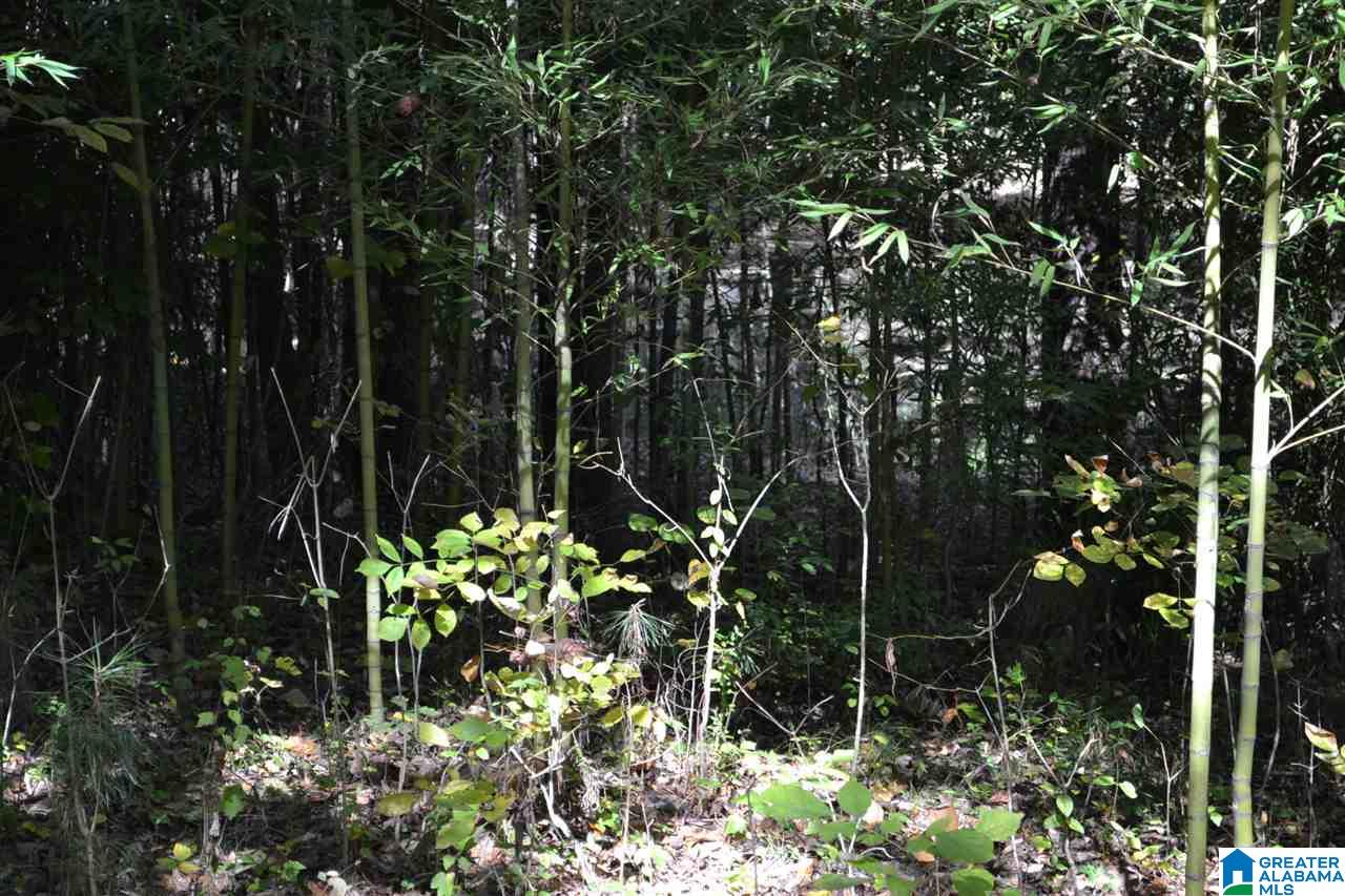 17871 Highway 75, Unit 5 7 ACRES Remlap, AL 35133 - Photo 5 of 23