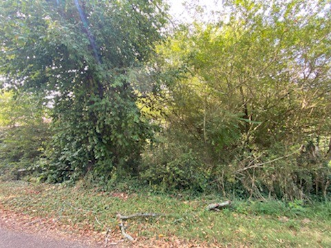 0 Cherry Road Southwest Sparta, TN 38583 - Photo 2 of 6 Gallery Image 2