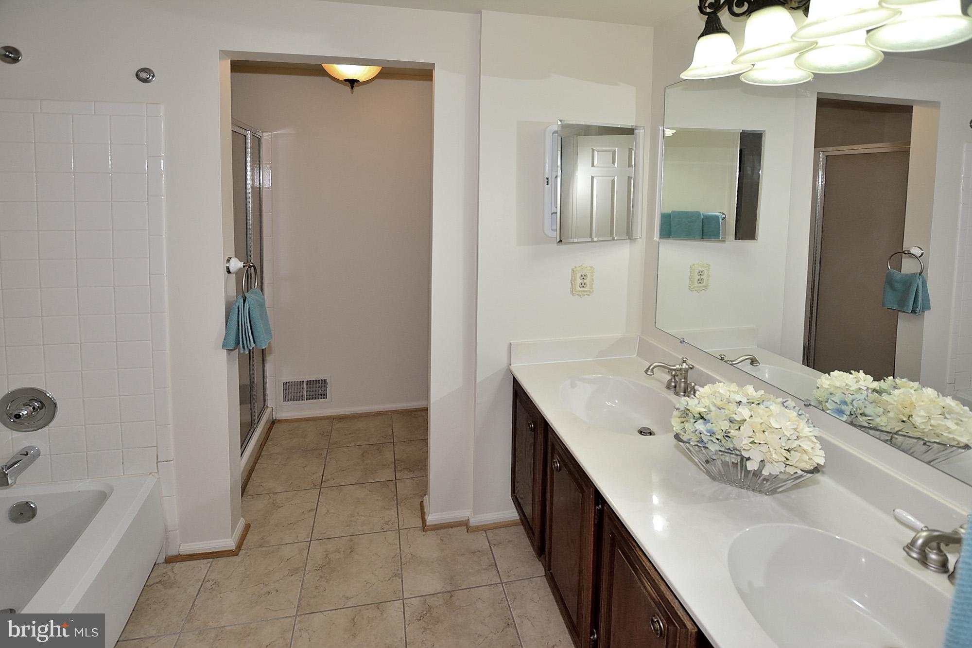 103 Minor Road Sterling, VA 20165 - Photo 17 of 30 Bath (Master)