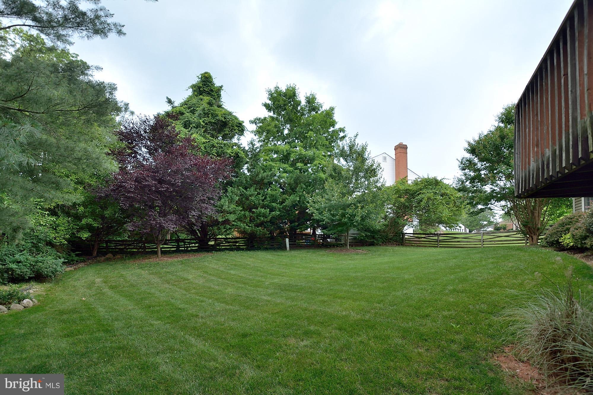 103 Minor Road Sterling, VA 20165 - Photo 28 of 30 Back yard landscape