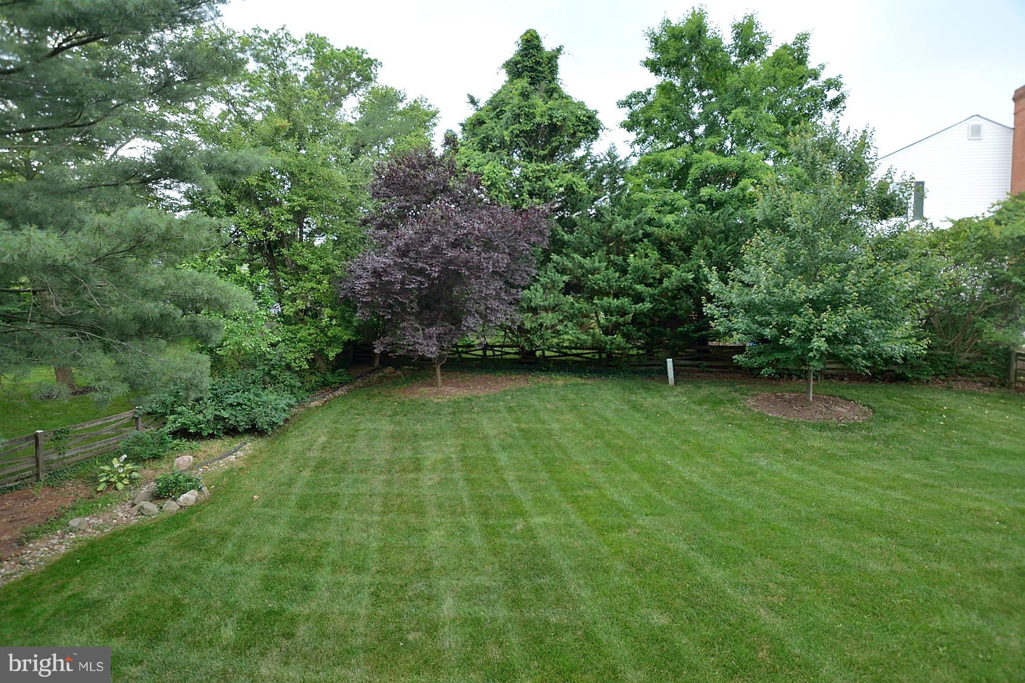 103 Minor Road Sterling, VA 20165 - Photo 30 of 30 Back yard view