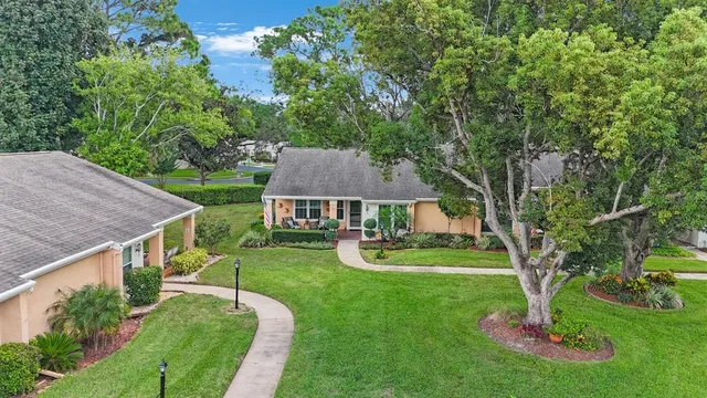 a view of a house with a yard potted plants and large tree
