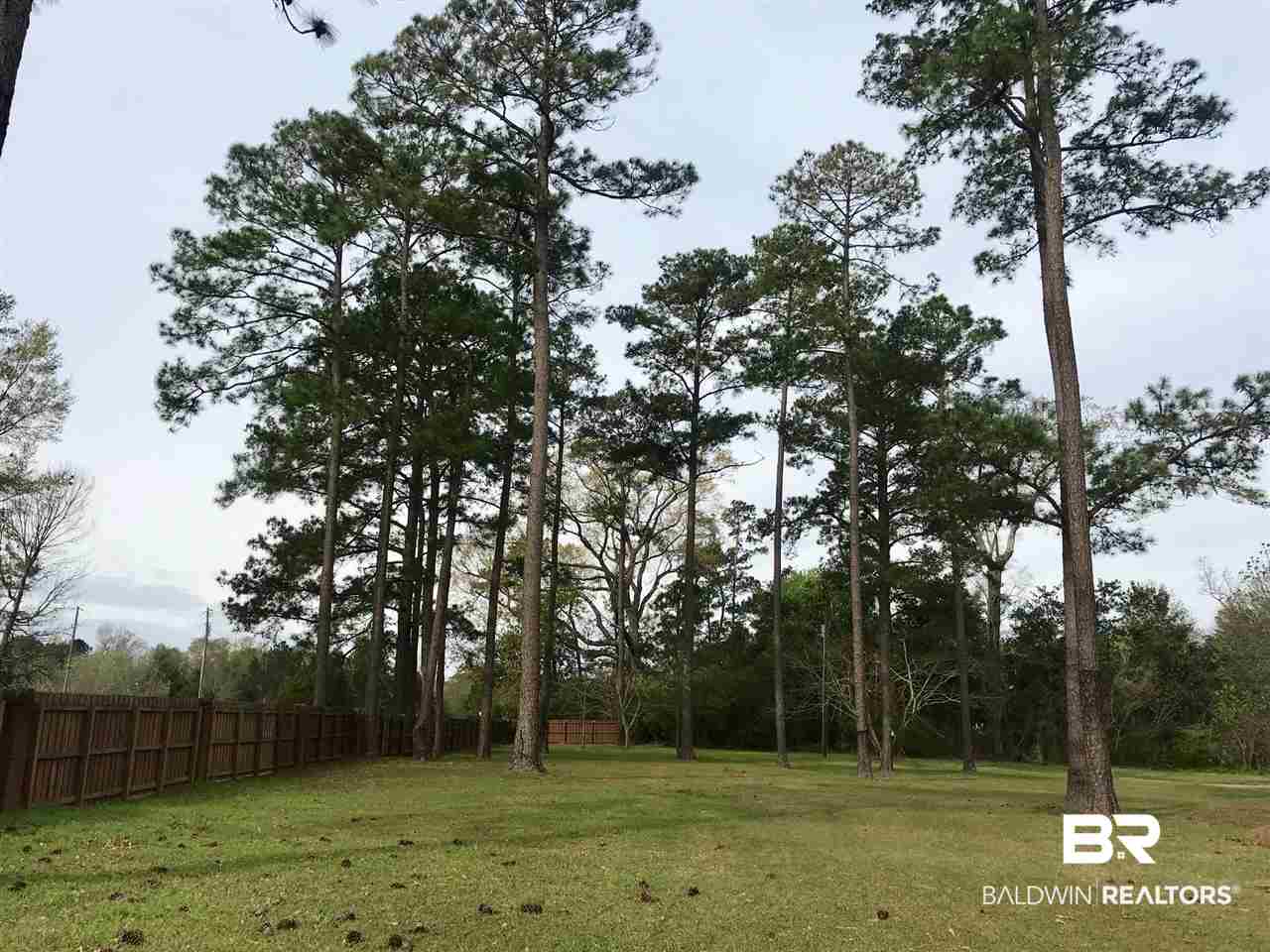 9794 Travis Road Brewton, AL 36426 - Photo 2 of 22