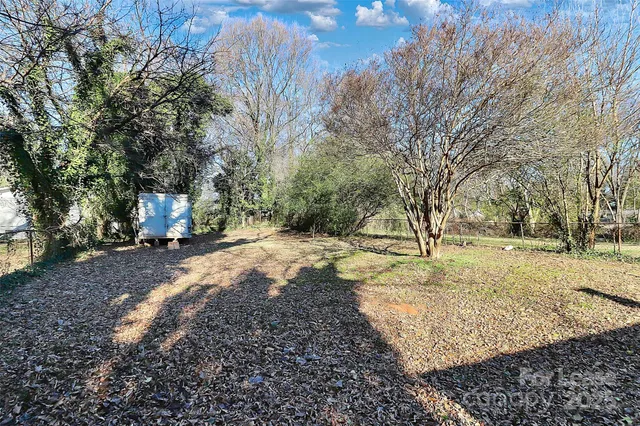 a view of a yard with trees