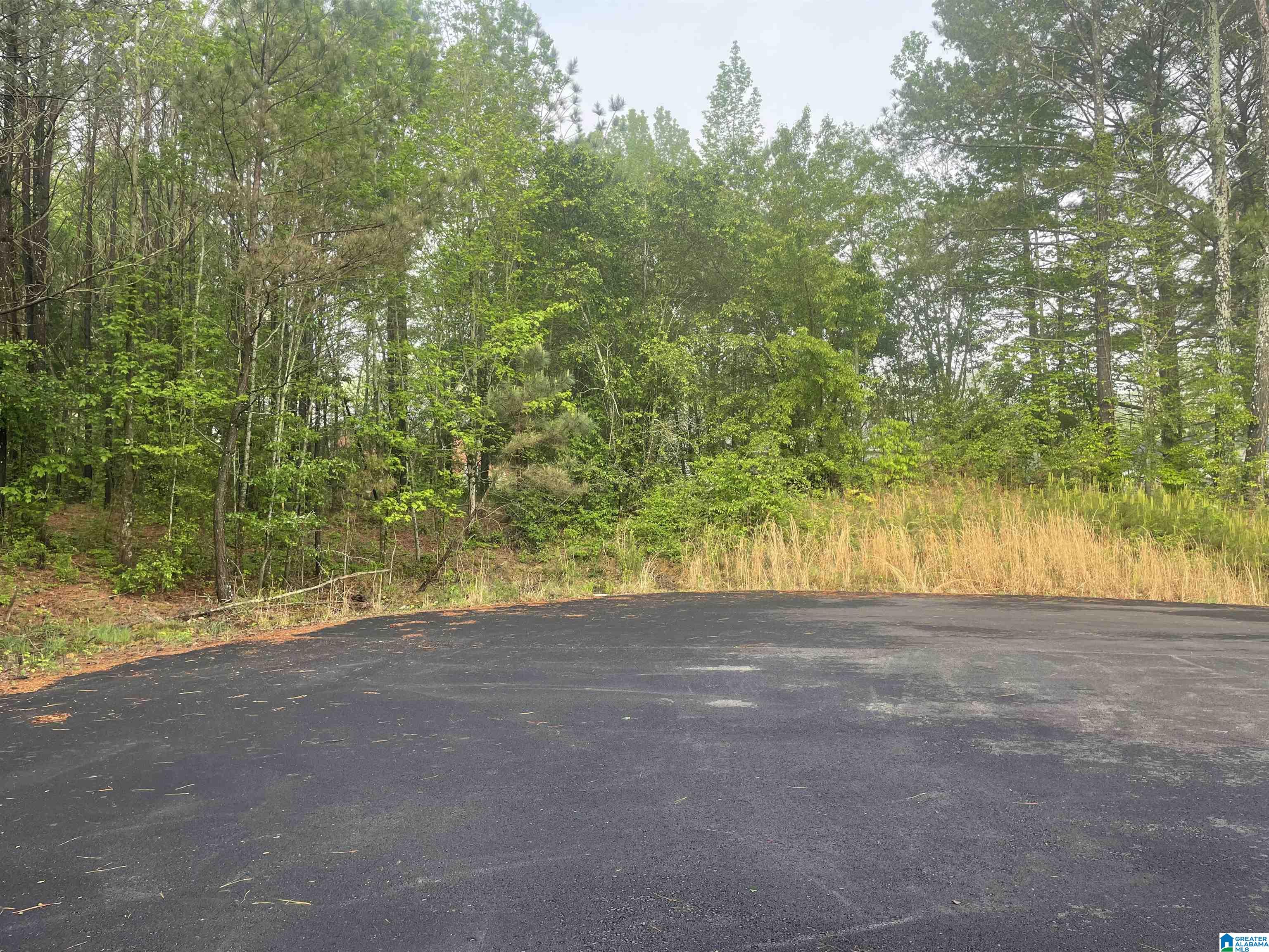 Courtney Drive, Unit 15 Eva, AL 35621 - Photo 1 of 3