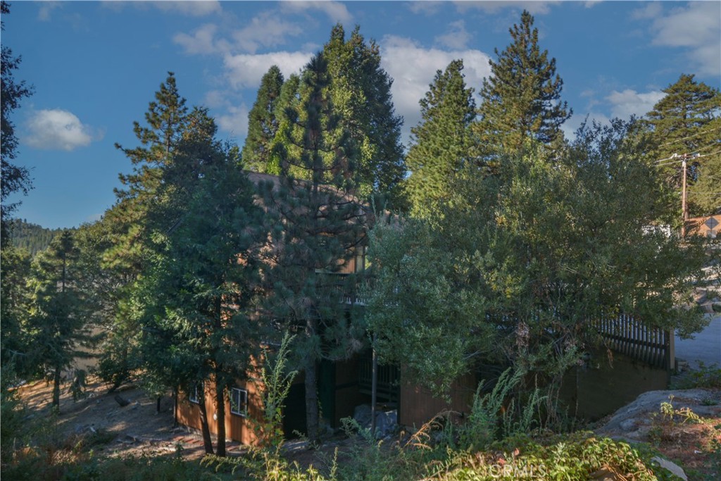 21962 Elliot Road Cedarpines Park, CA 92322 - Photo 27 of 37 Sid e View of House