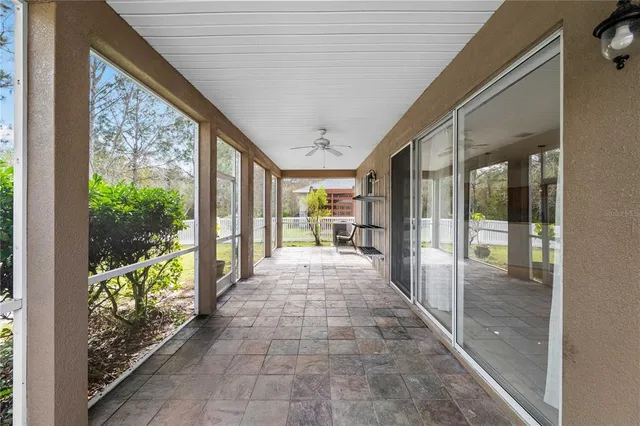 a view of a backyard with large trees