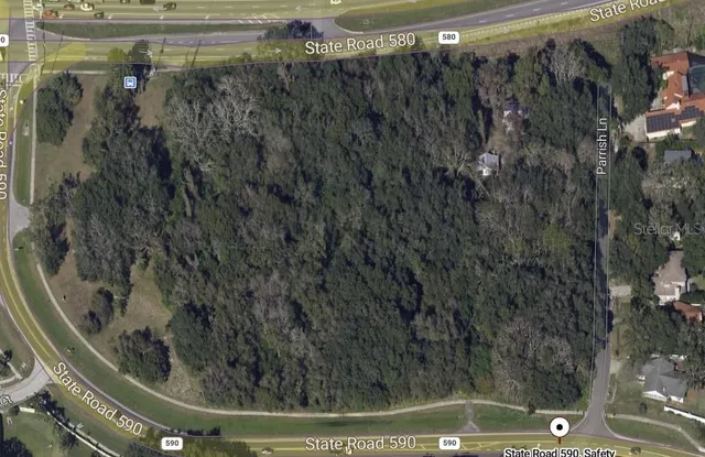 a view of a plant in a bathroom