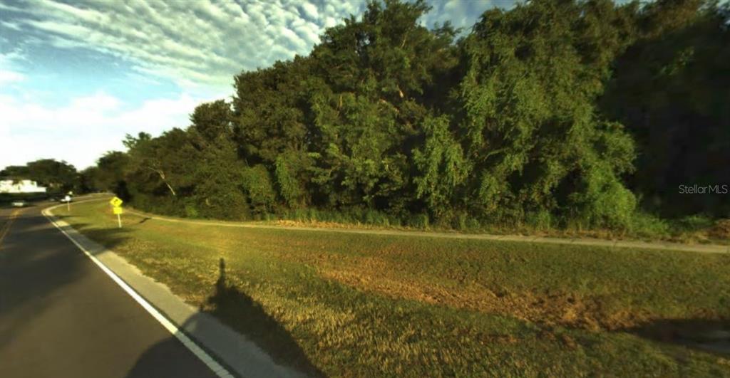 Philippe Safety Harbor, FL 34695 - Photo 4 of 4 a view of a yard with an outdoor space