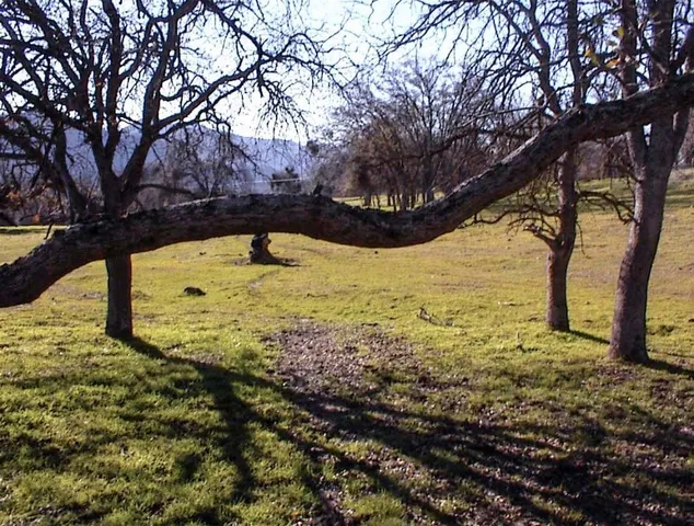 a view of a golf course with a lake view