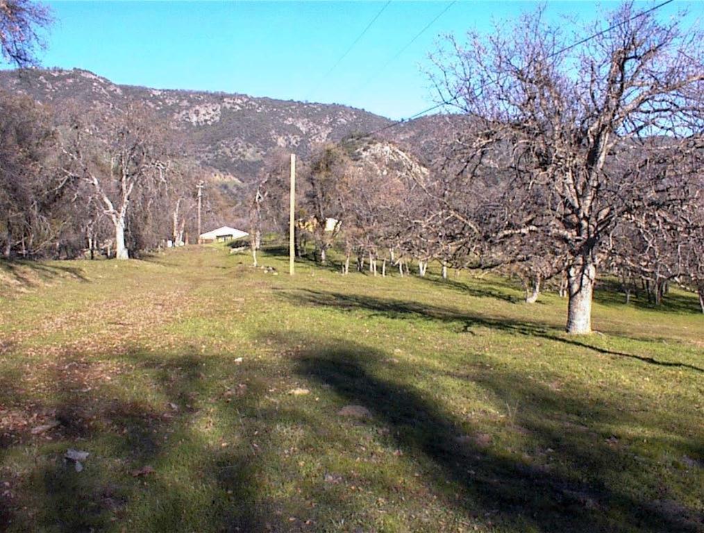 39950 Millwood Road Dunlap, CA 93621 - Photo 16 of 64 a view of a yard with mountain view in back