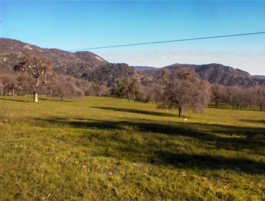 39950 Millwood Road Dunlap, CA 93621 - Photo 17 of 64