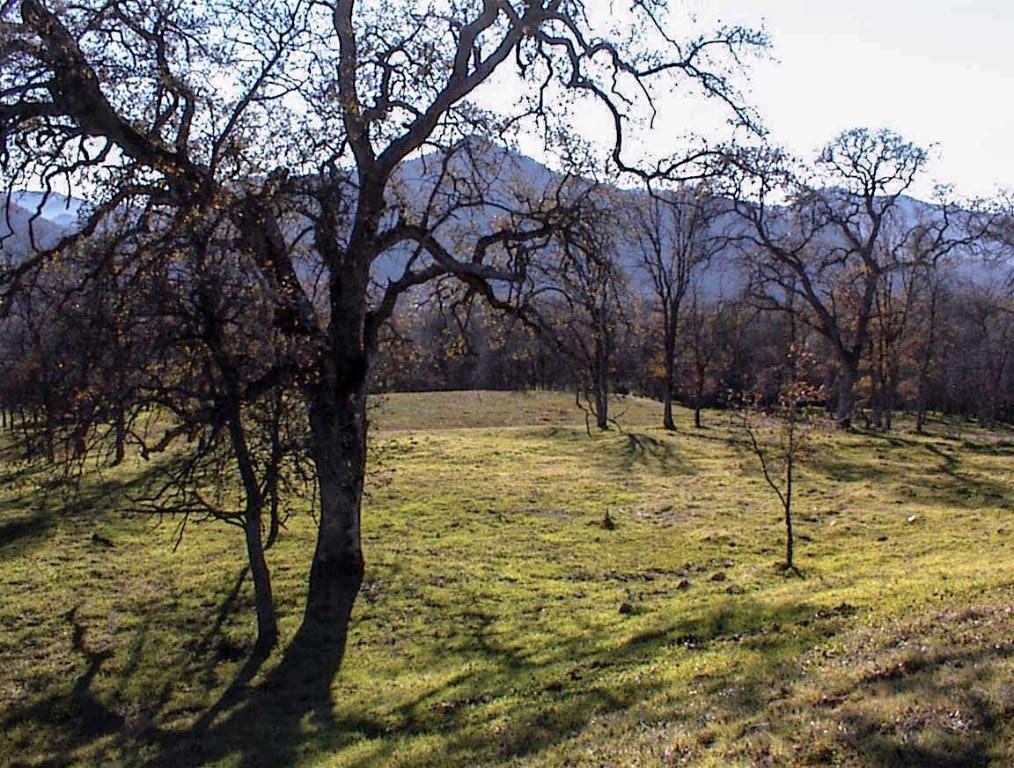 39950 Millwood Road Dunlap, CA 93621 - Photo 23 of 64