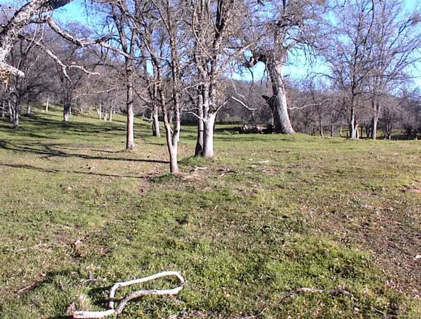 $1,135,000 | 39950 Millwood Road, Dunlap, CA 93621