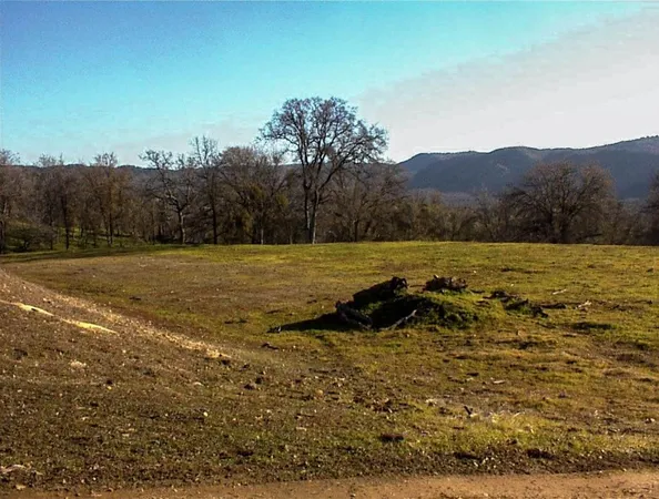 $1,135,000 | 39950 Millwood Road, Dunlap, CA 93621