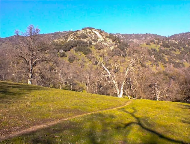 $1,135,000 | 39950 Millwood Road, Dunlap, CA 93621