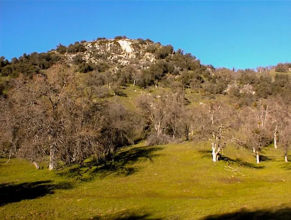 $1,135,000 | 39950 Millwood Road, Dunlap, CA 93621