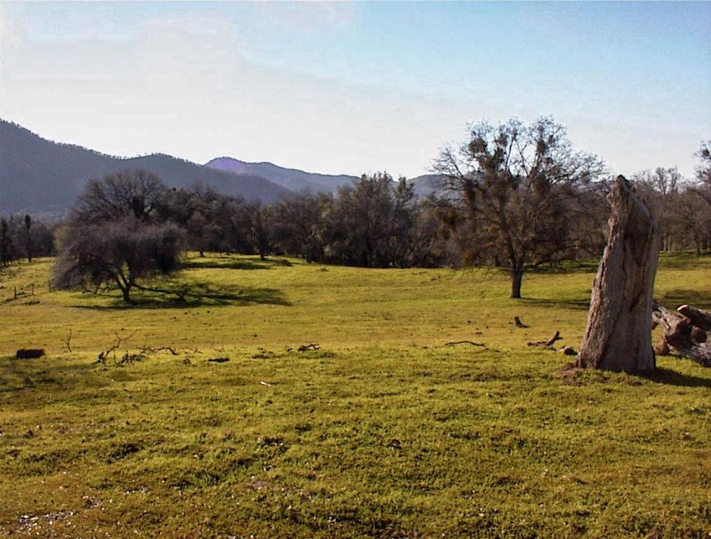 39950 Millwood Road Dunlap, CA 93621 - Photo 3 of 64