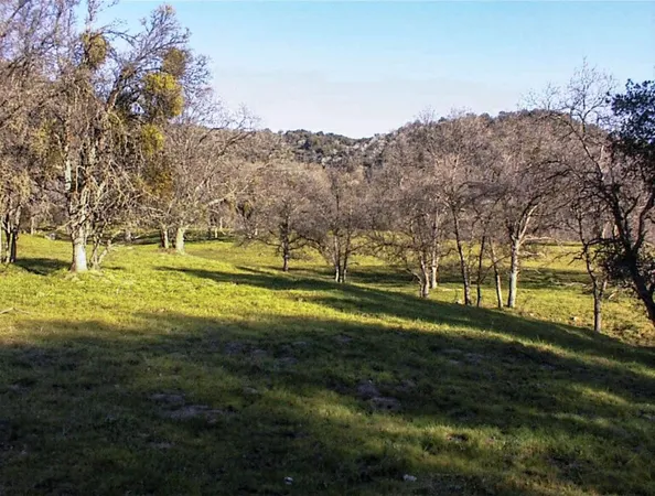 $1,135,000 | 39950 Millwood Road, Dunlap, CA 93621