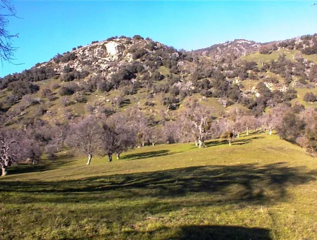 $1,135,000 | 39950 Millwood Road, Dunlap, CA 93621