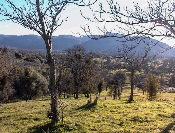 $1,135,000 | 39950 Millwood Road, Dunlap, CA 93621